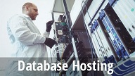 Technician Managing Database Servers